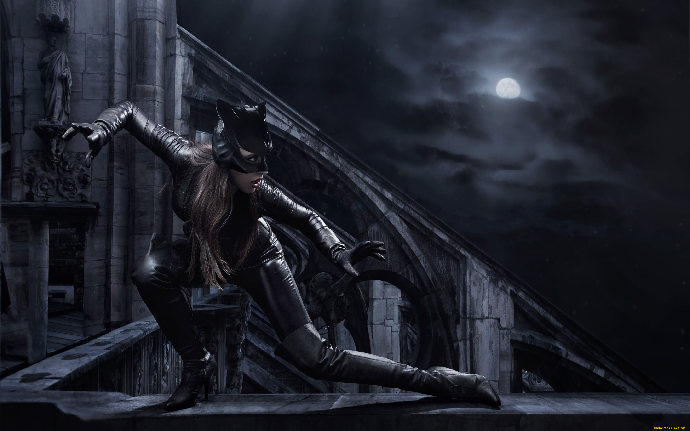 , , , , , , , -, catwoman